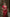 NOZ2TOZ Jacquard Lichi Silk Red Saree With Unstitched Blouse Piece - Distacart