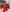 NOZ2TOZ Jacquard Lichi Silk Pink Saree With Unstitched Blouse Piece - Distacart