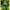 NOZ2TOZ Jacquard Lichi Silk Green Saree With Unstitched Blouse Piece - Distacart