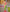 NOZ2TOZ Jacquard Lichi Silk Green Saree With Unstitched Blouse Piece - Distacart