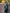 NOZ2TOZ Jacquard Lichi Silk Green Saree With Unstitched Blouse Piece - Distacart