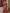NOZ2TOZ Jacquard Lichi Silk Red Saree With Unstitched Blouse Piece - Distacart