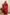 NOZ2TOZ Jacquard Lichi Silk Red Saree With Unstitched Blouse Piece - Distacart