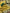 NOZ2TOZ Jacquard Lichi Silk Yellow Saree With Unstitched Blouse Piece - Distacart