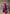 NOZ2TOZ Jacquard Lichi Silk Purple Saree With Unstitched Blouse Piece - Distacart