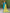 Vedant Vastram Kurta Pant Set With Dupatta Having Beautiful Handwork - Rama - Distacart