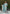 Vedant Vastram Kurta Pant Set With Dupatta Having Beautiful Handwork - See Green - Distacart