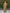 Vedant Vastram Kurta Pant Set With Dupatta Having Beautiful Handwork - Yellow - Distacart