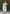 Vedant Vastram Kurta Pant Set With Dupatta Having Beautiful Handwork - See Green - Distacart