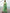 NOZ2TOZ Women's Tissue Sea Green Woven Design Designer Saree With Blouse Piece - Distacart