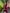 J4792WINE (2)