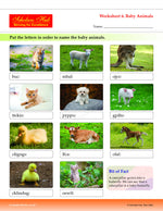 Thumbnail for Step By Step Skills Scrambled Words-1(Tearble Colourful Worksheets) - Dista
