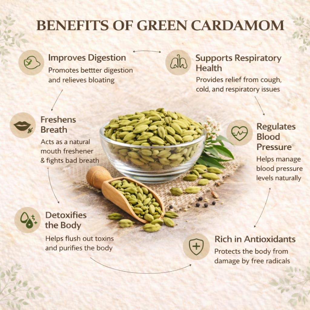 Village-Organica Green Cardamom (Elaichi) Whole – Handpicked - Dista