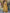 NOZ2TOZ Women Floral Printed Calf Length Flared Anarkali And Palazzo With Printed Dupatta - Mustard - Distacart