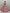 Jyoti Fashion Women's Pink Heavy Net Fancy Dori, Multi Thread, Rainbow Sequins and Diamond Work Wedding Lehenga Choli - Distacart
