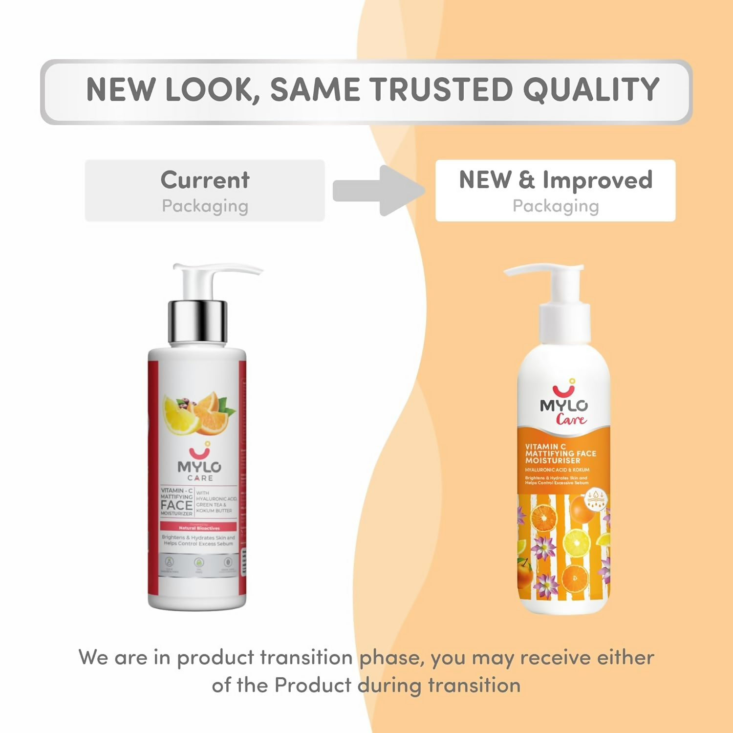 download - 2025-01-24T131656.930