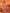 Joban Fashion Banarasi Peach Small Butti Soft Silk Saree