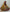 Jyoti Fashion Women's Mustard Velvet Multi Thread Embroidered, Patch Work with Zircon Diamond Wedding Lehenga Choli - Distacart