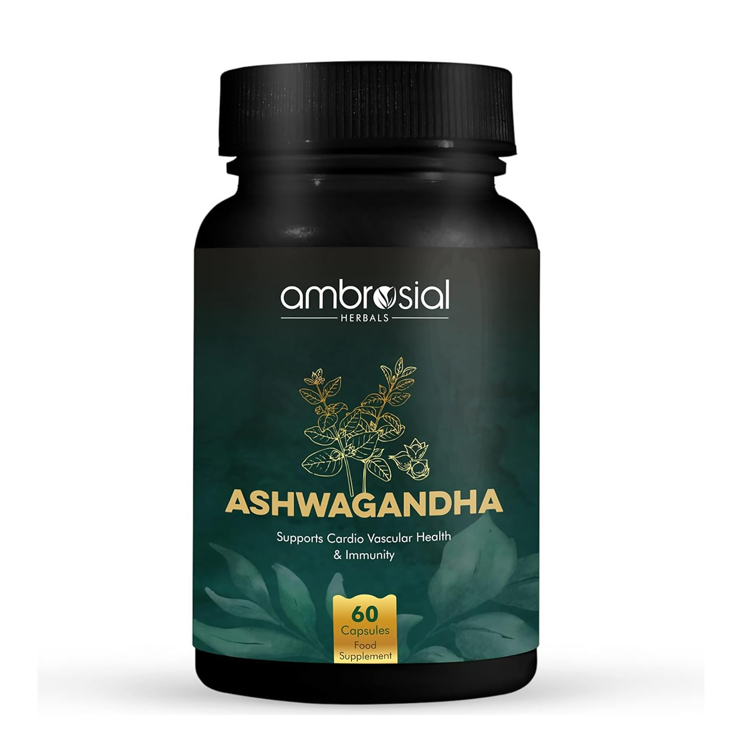 download - 2025-03-19T152739.794