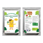 Thumbnail for Littlecherrymom Whole Wheat Khakhra Combo - Dista