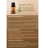 Thumbnail for Ancient Living Tulasi Taila (Basil Oil) Essential Oil - Distacart