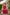 Prazu Fashion Pink Georgette Embroidered Designer Palazzo Suit
