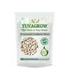 Yuvagrow Premium W-320 Cashew Nuts - Distacart