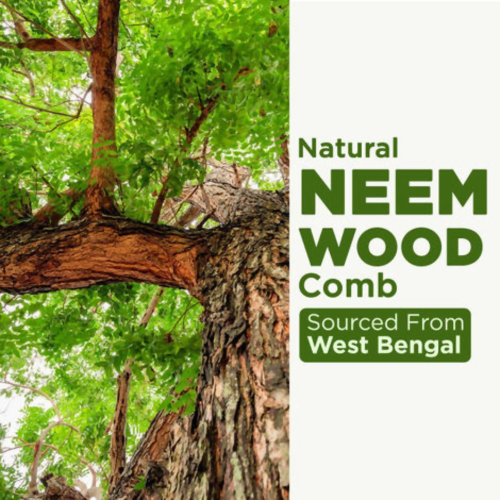 Alps Goodness 100% Natural Neem Comb - Distacart