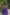 Lorenvalley Fashion Purple Roman Silk with Attractive Gota-Patti Lace Lehenga Choli