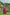 Lorenvalley Fashion Maroon Rayon Kutchi Gamthi Work Gown