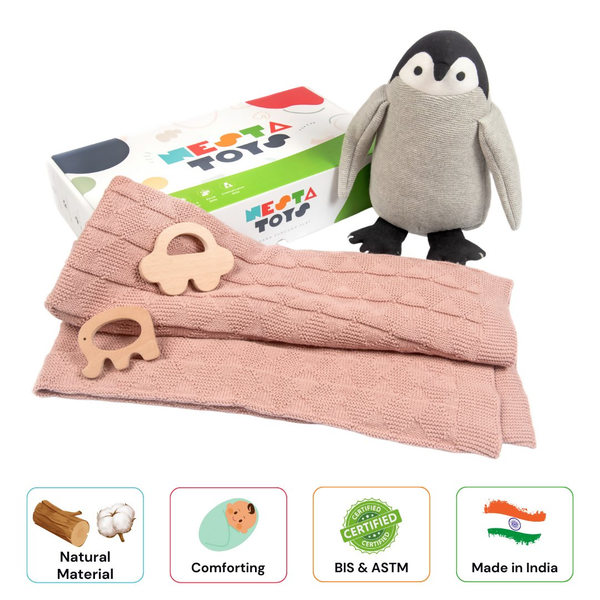 New Born Gift - Blanket, Penguin, Elephant Teether and Car Teether 2