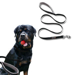 Thumbnail for Waggety Dog Leash - Durable Black Polyester, Length - 5Ft, Comfortable Grip, Stylish Pet Leash for Dogs