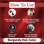 Thumbnail for VedicAyurveda Henna Hair Color - Burgundy - Dista