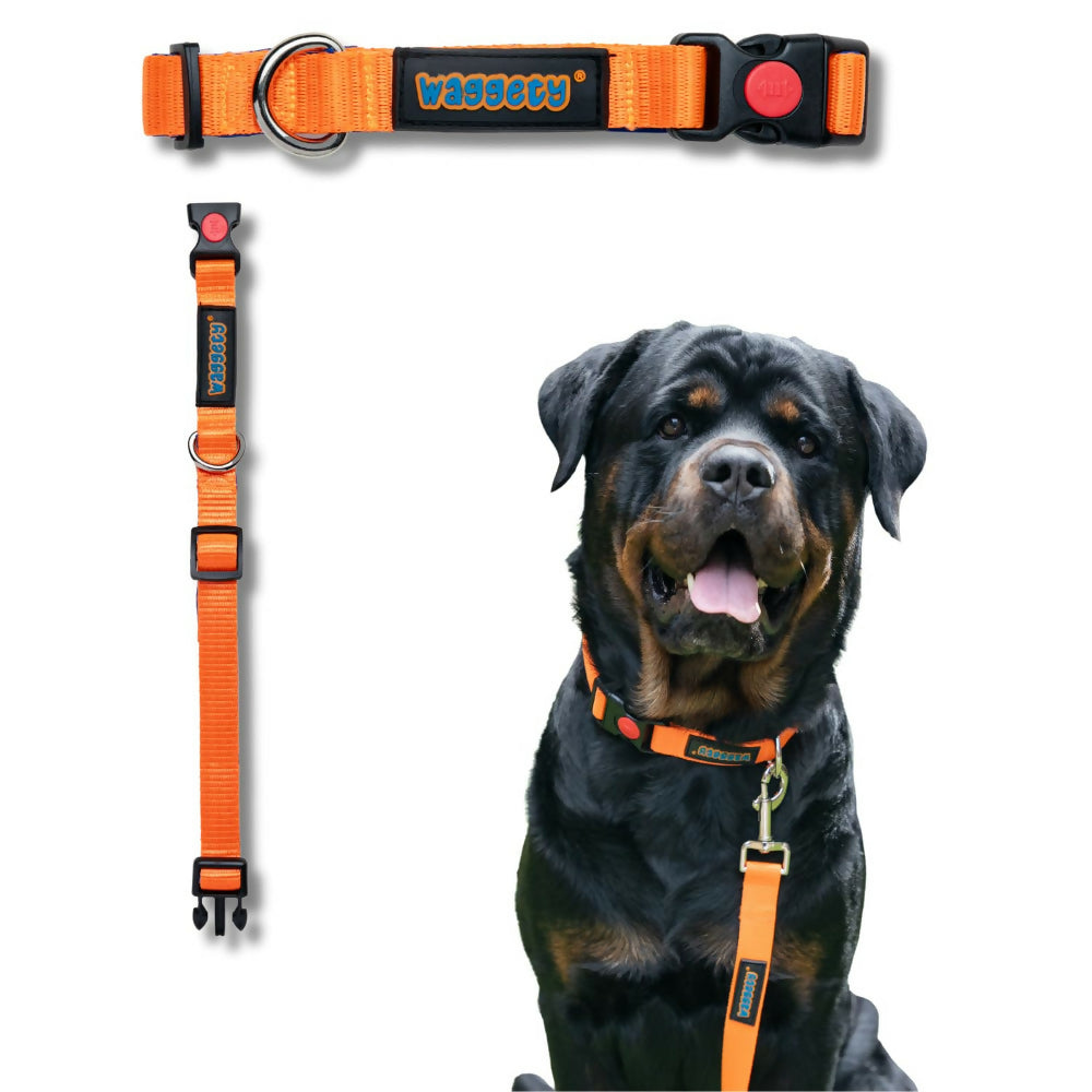 Waggety Padded Dog Collar - Adjustable, Comfortable Fit, Durable Polyester - Orange - Dista