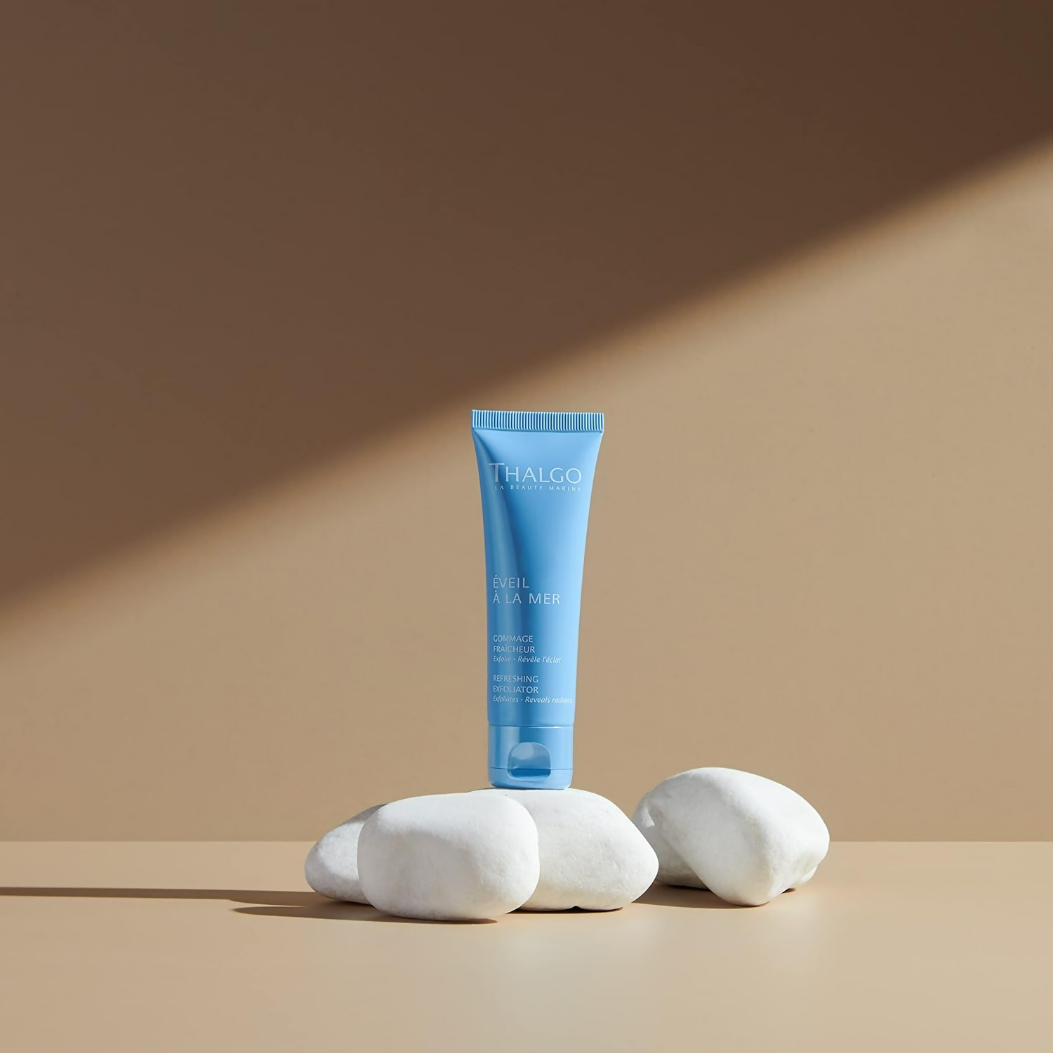 download - 2024-12-17T120630.078