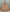 Jyoti Fashion Women's Peach Bridal Net Fancy Sequins with Multi Thread Embroidered & Handwork Wedding Lehenga Choli - Distacart