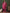 Sangria Self-Designed Winter Kurta & Trousers With Dupatta