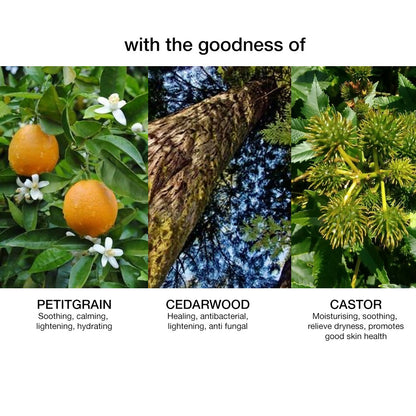 Skog Cedarwood Petitgrain Body Oil - Distacart