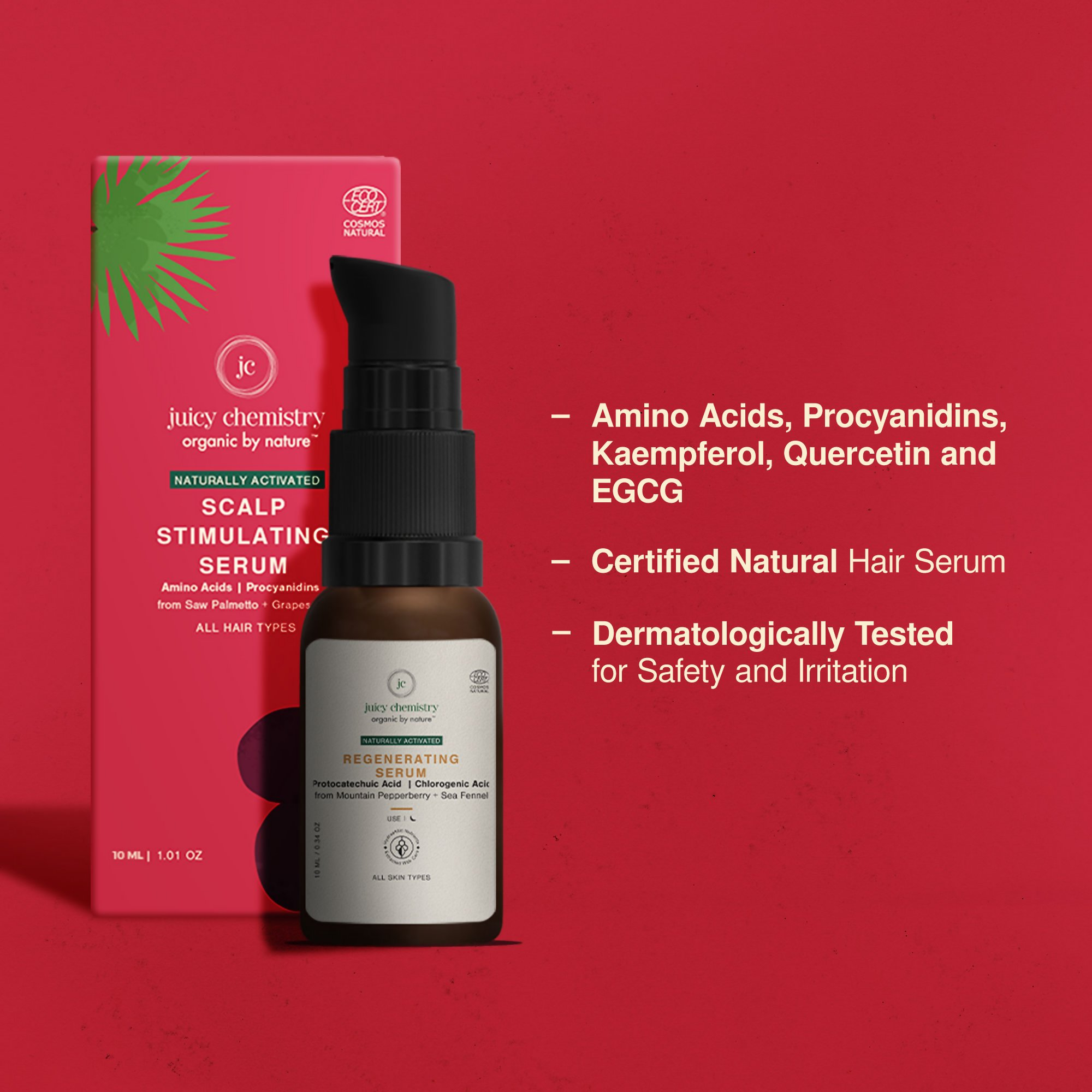 download - 2025-02-12T161543.824