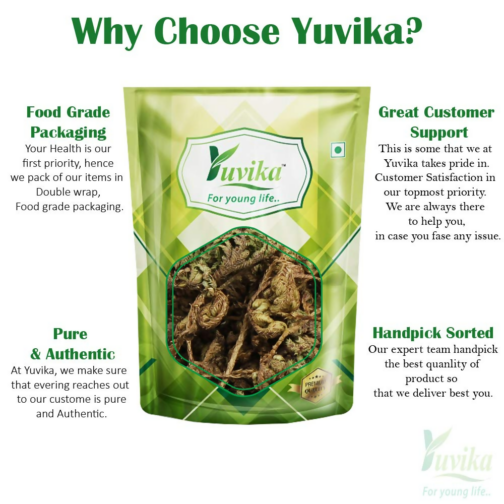 Yuvika Laxman Booti - Lakshman Booti - Selaginella Bryopteris - Guma