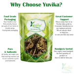 Thumbnail for Yuvika Laxman Booti - Lakshman Booti - Selaginella Bryopteris - Guma