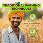 Thumbnail for Aashirvaad Organic Urad Dal (Whole) - Distacart