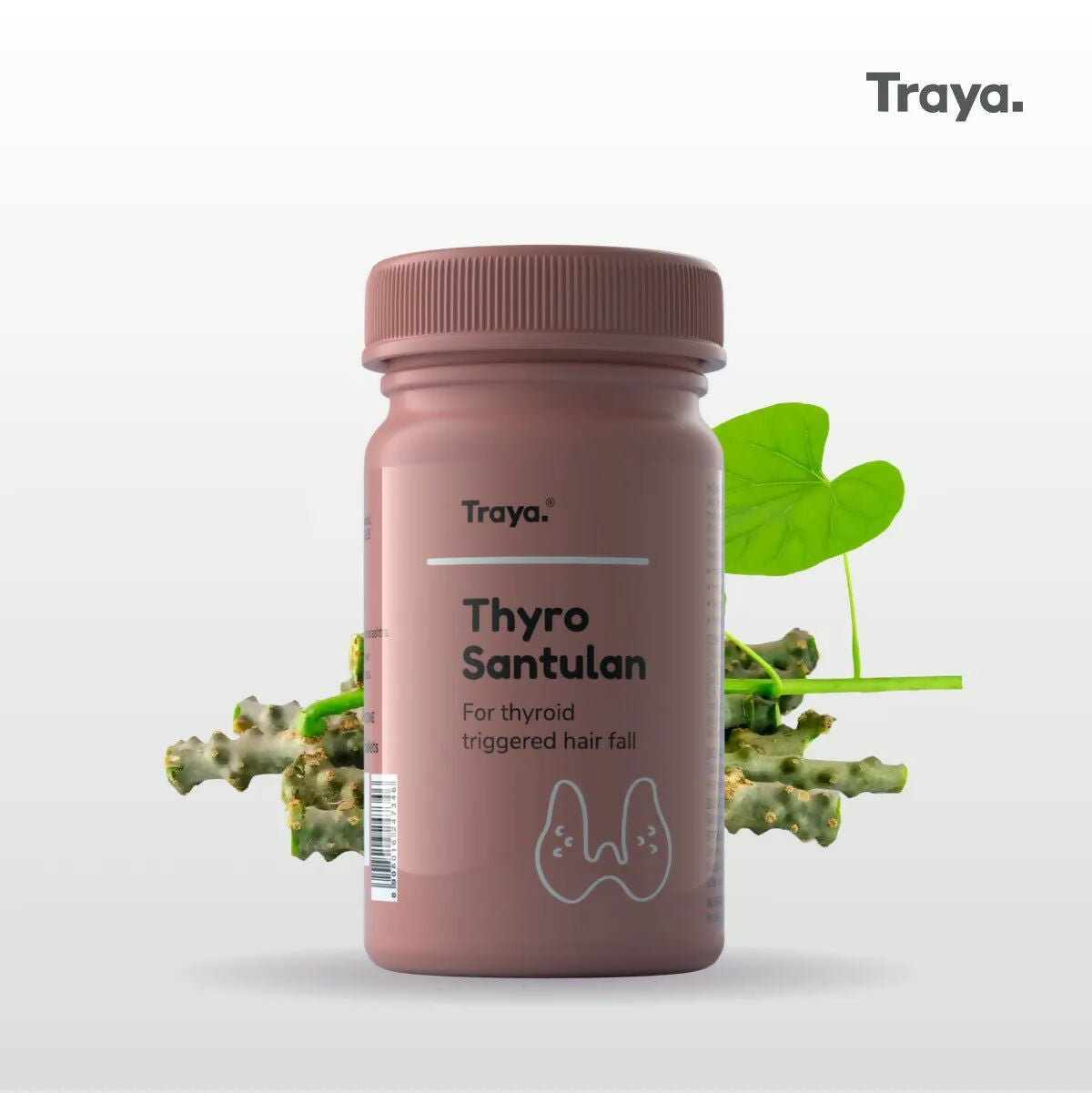 Traya Thyro Santulan Tablets - Distacart