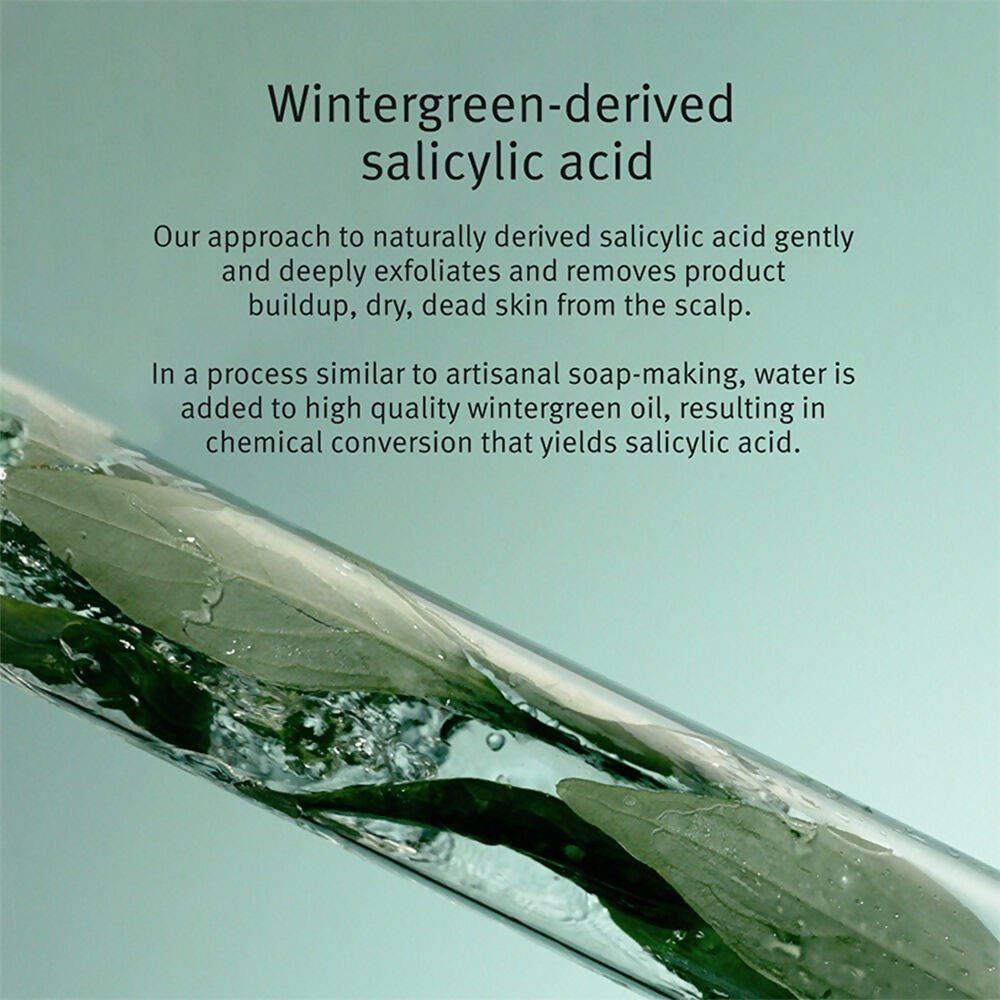 Aveda Scalp Solutions Exfoliating Scalp Treatment - Distacart