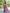 NOZ2TOZ Women's Organza Pink Embellished Designer Saree With Blouse Piece - Distacart