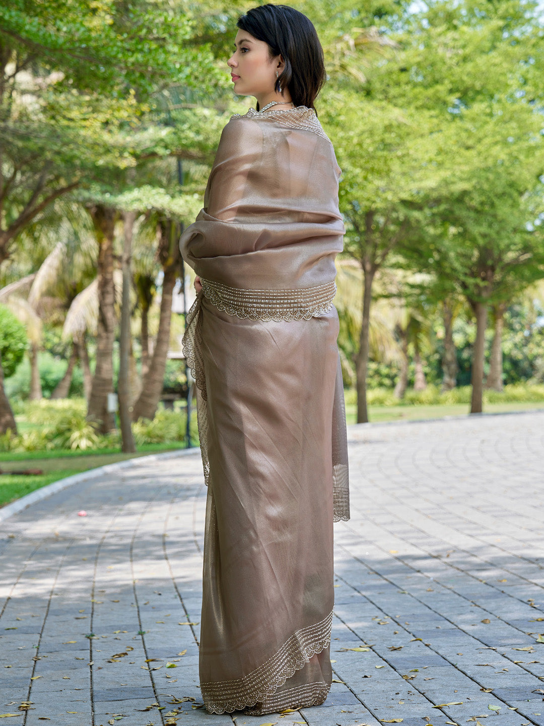 NOZ2TOZ Women's Organza Brown Embellished Designer Saree With Blouse Piece - Distacart