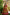 Malishka Womens Red Dola Silk With Foil Print Lehenga Choli Set