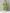 Sztori Plus Size Floral Yoke Design Mirror Work Straight Kurta