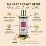 Thumbnail for Curista Naturals Arnica Jaborandi Hair Growth Oil - Dista