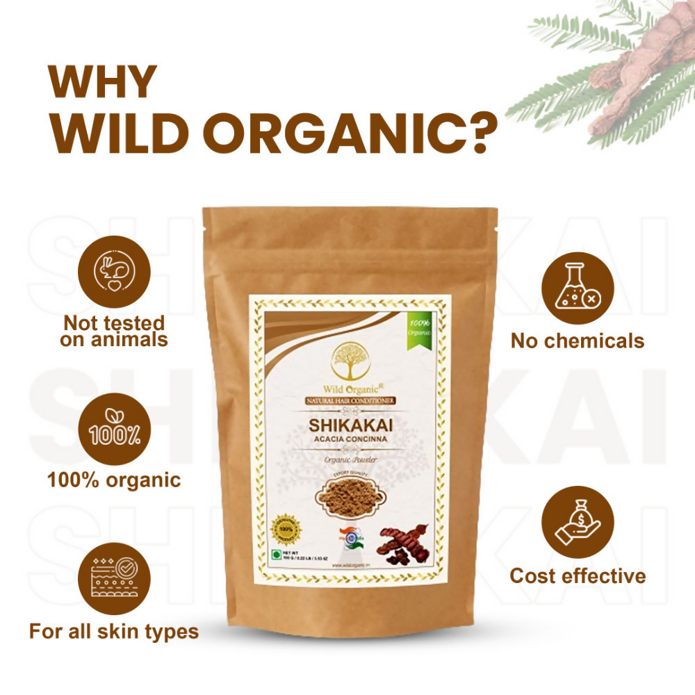 download - 2024-10-24T162738.990